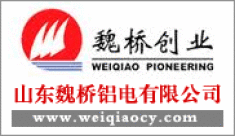 山东魏桥铝电有限公司